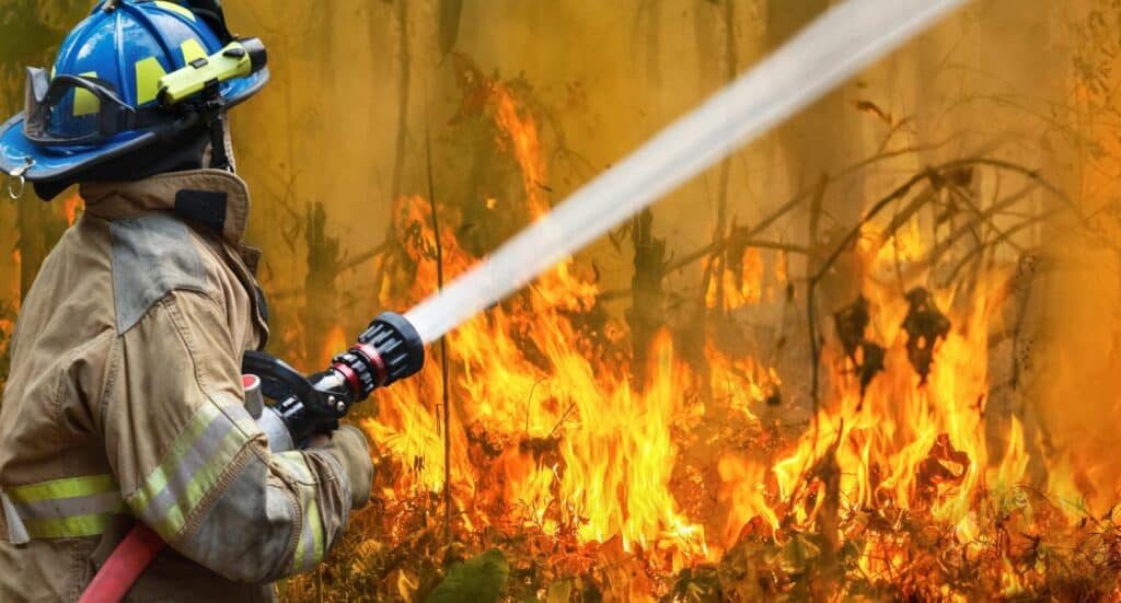 firefighter battlnig flames of a bush fire